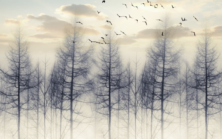 Nástěnná malba stromů a létajících ptáků v černé barvě Černí ptáci nad stromy - Obrázek 2
