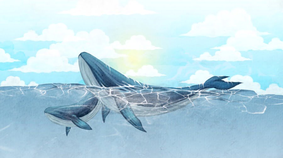 Fototapeta z małym i dużym wielorybem pływającym w morzu Dwa Wieloryby Dla Dziecka - zdjęcie numer 2