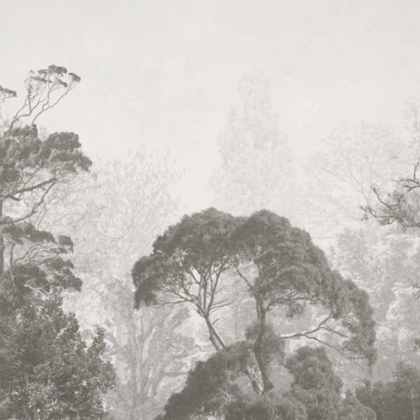 Freska Vrcholky exotických stromů v mlze