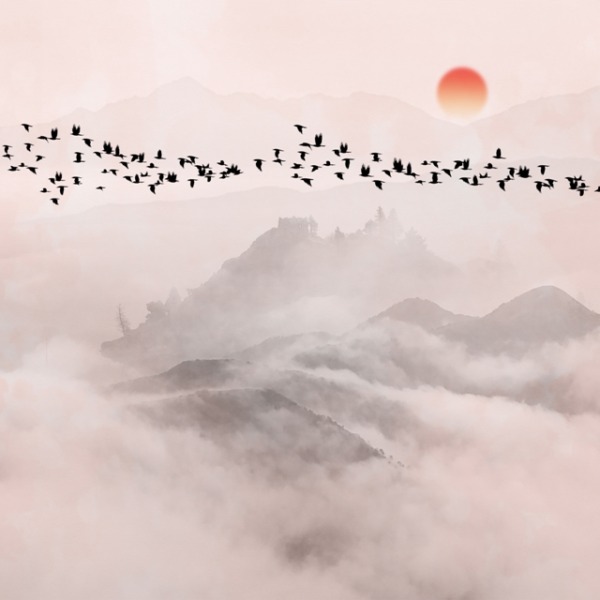 Fototapety Tmavé ptáci létající nad horami