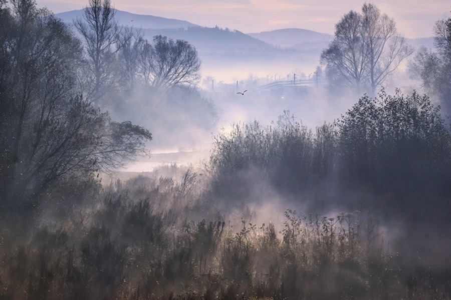 Teplé lesní mlha horské krajiny tapety pro obývací pokoj - číslo obrázku 2