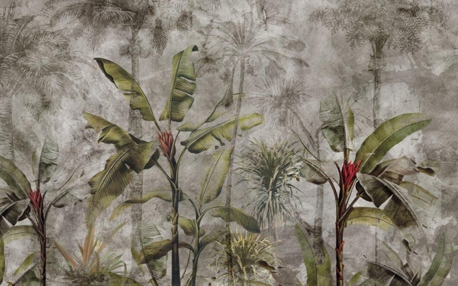 Nástěnná malba tropické džungle v mlze Červené banánové ovoce - obrázek číslo 2