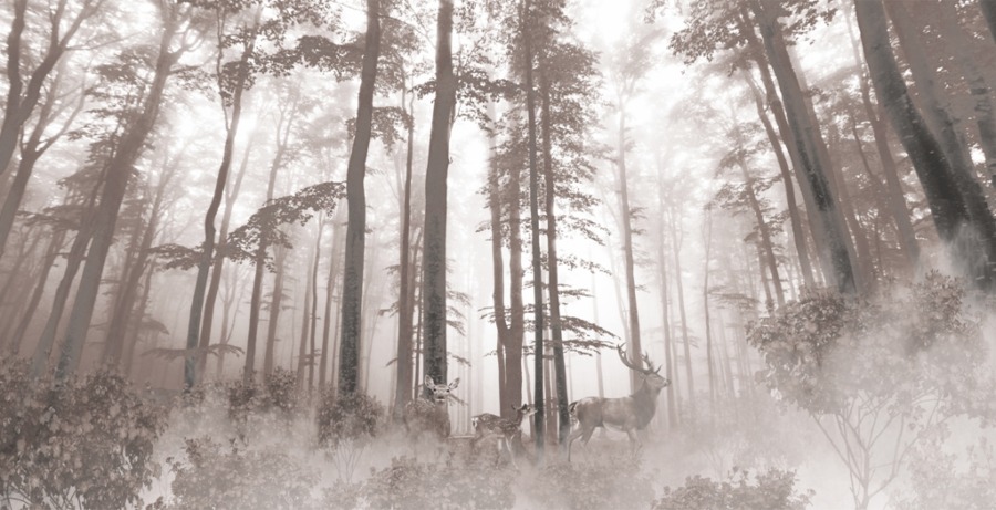 Nástěnná malba jelena v lese zahaleném mlhou Hustá lesní mlha - Foto 2