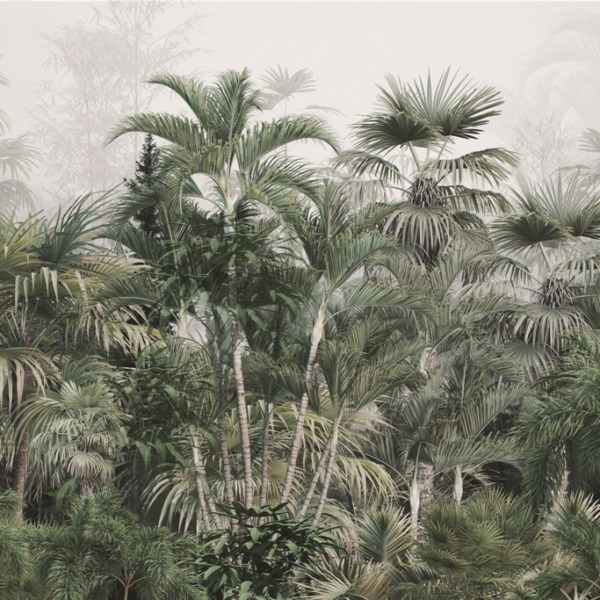 Fotomurální husté tropické rostliny