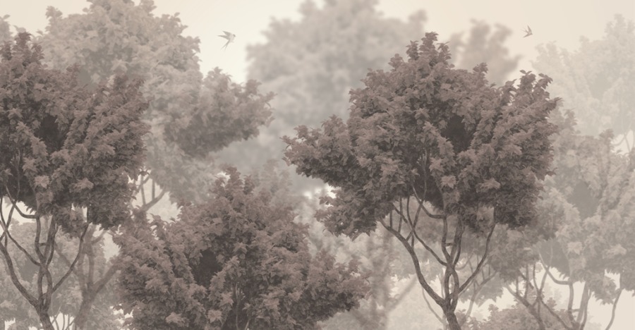 Fototapeta s prostorovou ilustrací horních listnatých stromů v odstínech čokolády Koruny stromů pro obývací pokoj - obrázek číslo 2
