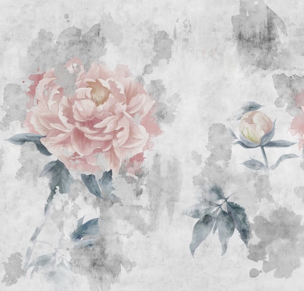Fototapeta Růžové květy pivoněk na šedém pozadí