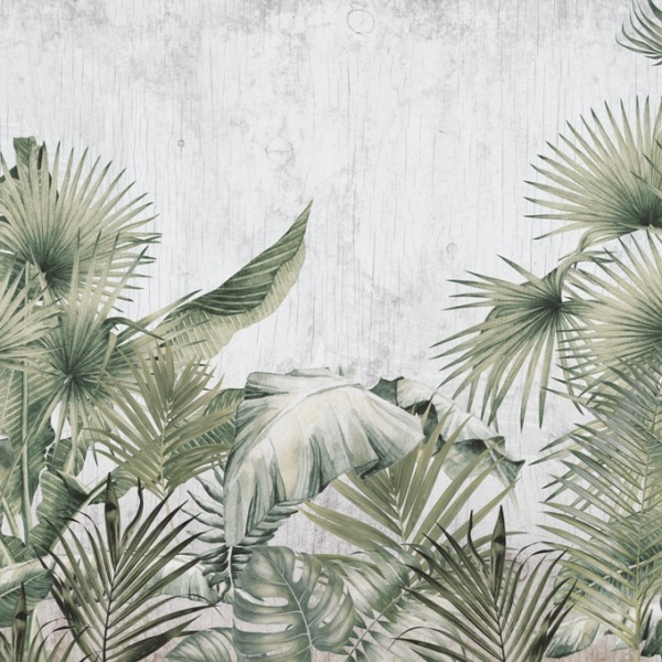Fototapeta Palmové listy na šedém pozadí