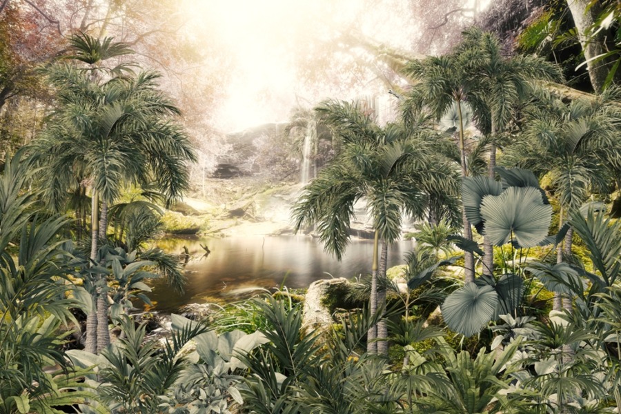 Freska exotické krajiny v mlze Kouzelný vodopád v tropické džungli - obrázek číslo 2