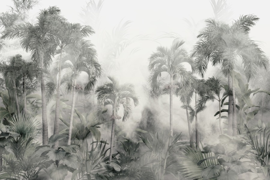 Hustá vegetace v šedé a bílé barvě Tropy v bílé mlze - obrázek číslo 2