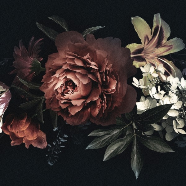 Fototapeta Květiny na tmavém pozadí