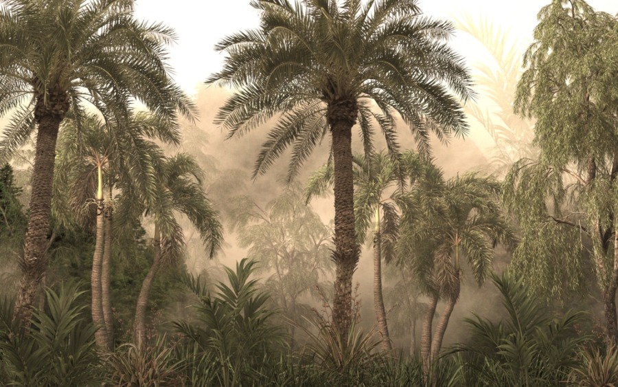 Tapety s tropickým motivem v teplých barvách High Palms in the Sun - obrázek číslo 2