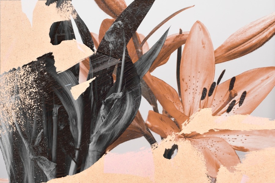 Květinová abstraktní nástěnná malba Rozmazané lilie - obrázek číslo 2
