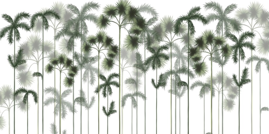 Fototapeta z wysokim palmami we mgle Zielony Las Palmowy do sypialni - zdjęcie numer 2