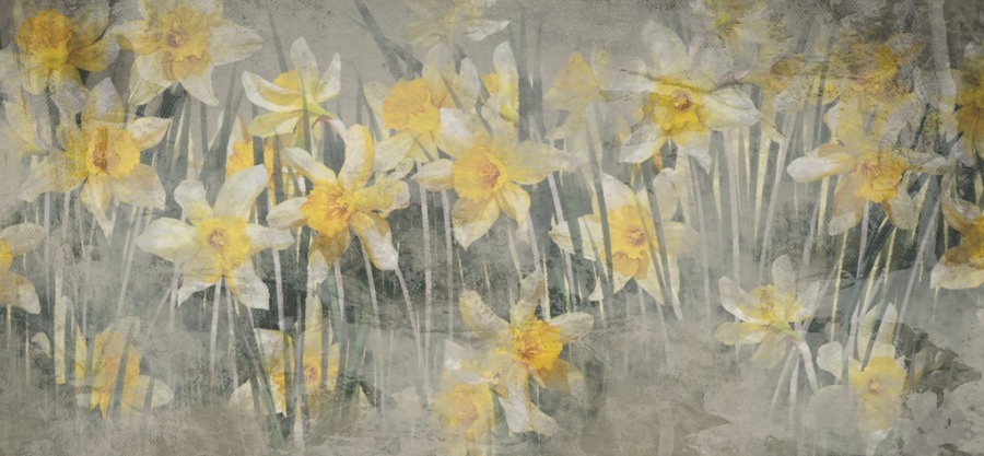 Nástěnná malba s jarním květinovým motivem Narcisová louka - obrázek číslo 2