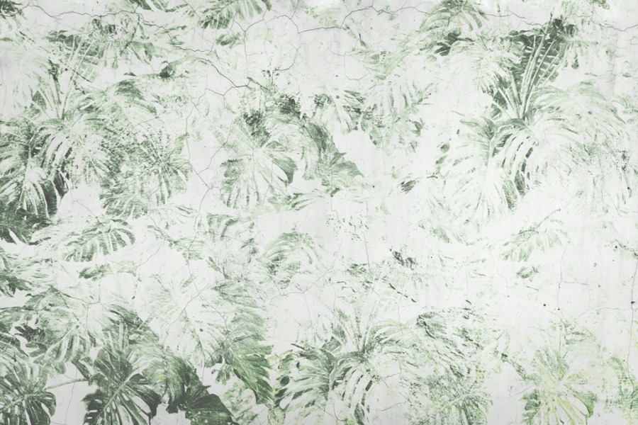 Fototapeta w stylu boho liśćmi monstery na białym tle Przetarty Motyw Roślinny - zdjęcie numer 2