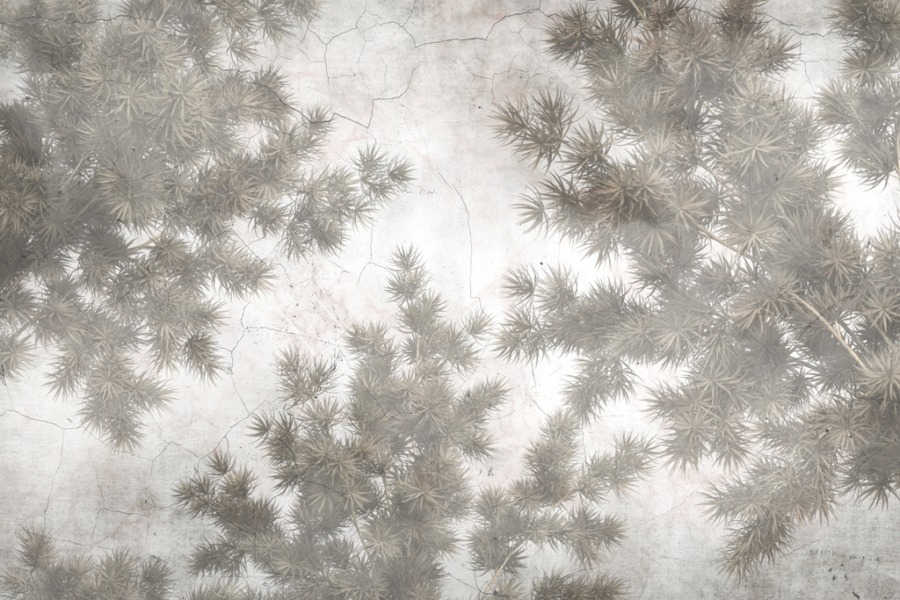 Nástěnná malba v šedých tónech Rostliny na popraskaném povrchu - obrázek číslo 2