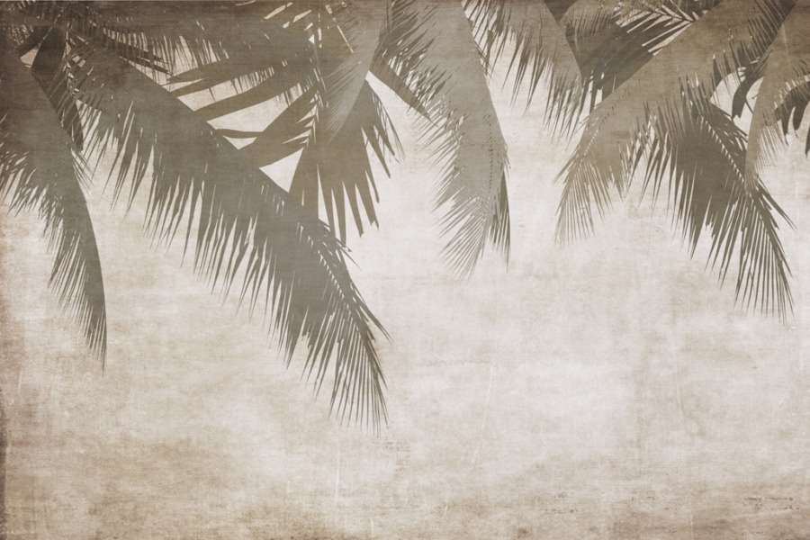 Fototapeta z pióropuszem palmowych liści w stonowanej, ciemniejszej tonacji Liście w Sepii