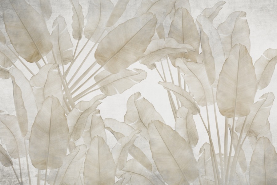 Fototapeta w ciepłych tonacjach beżu z motywem tropikalnych palm Pióropusze Jasnych Liści - zdjęcie numer 2