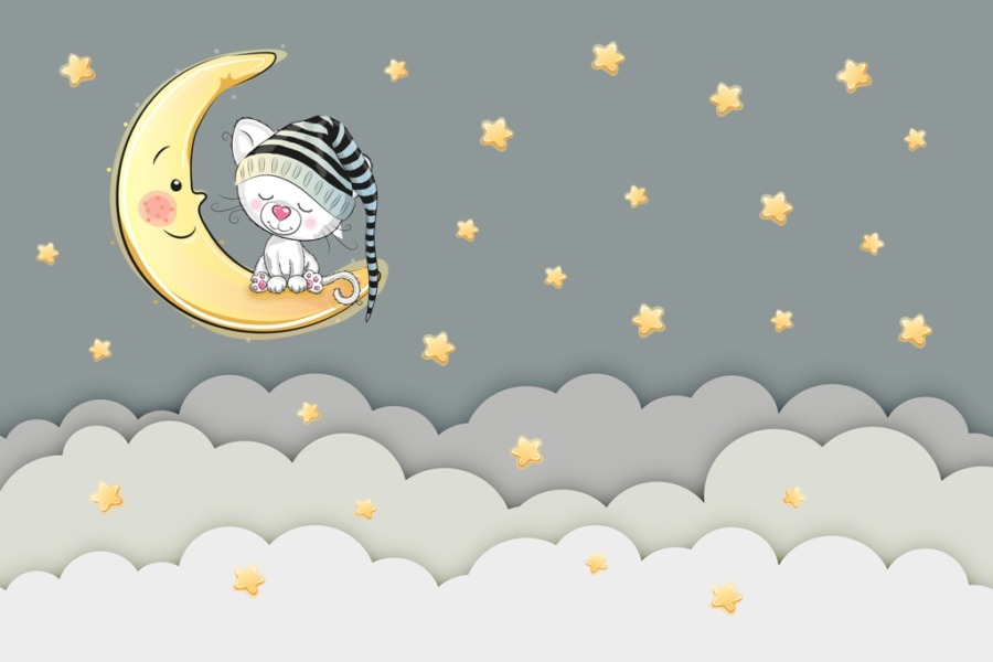 Fototapeta z nocnym niebem w stonowanych kolorach Śpiący Kotek Na Księżycu do pokoju dziecięcego - zdjęcie numer 2