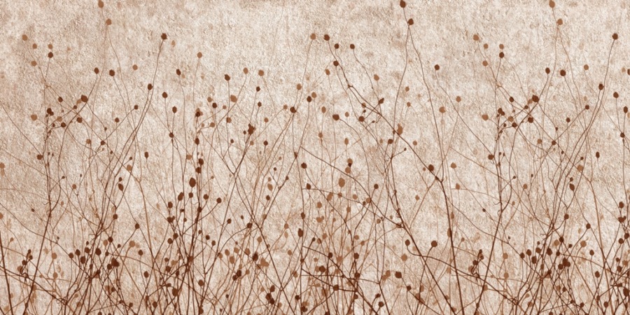 Fototapeta w ciepłej tonacji z motywem roślinnym Trawa Ozdobna - zdjęcie numer 2