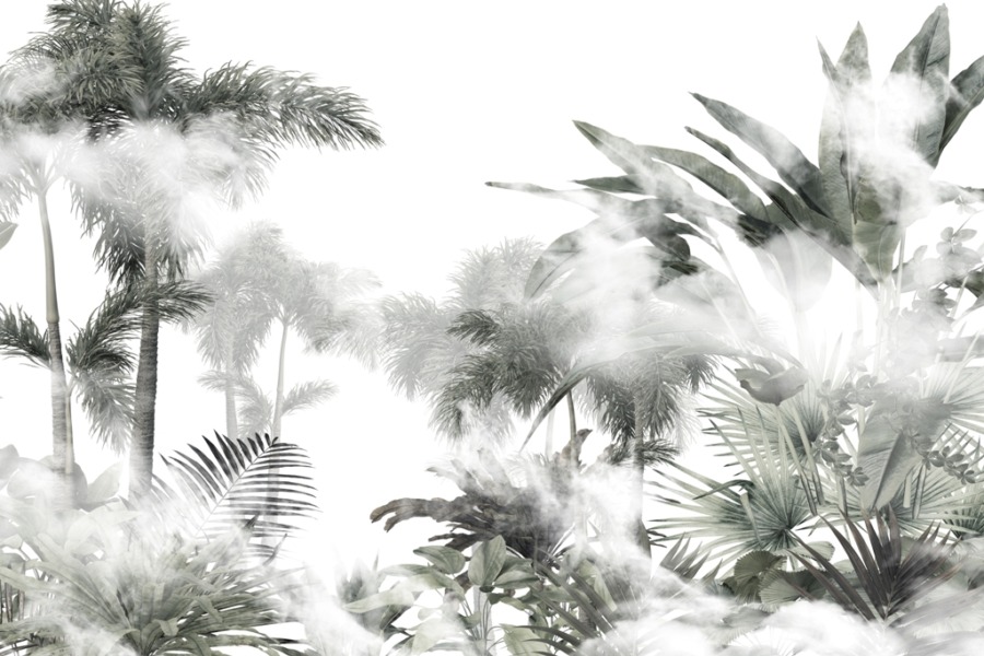 Fototapeta ve skandinávském stylu s tropickou džunglí v odstínech šedé Vrcholy palem za mlhou - obrázek číslo 2
