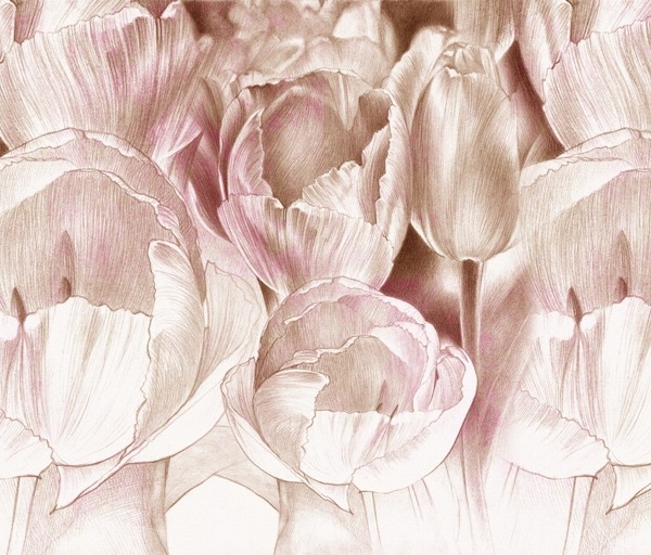 Fototapeta Růžové tulipány