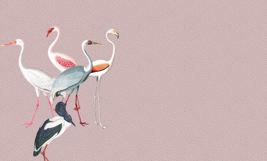 Fototapeta z egzotycznymi kolorowymi ptakami na niejednolitym tle Flamingi w Kropkach - zdjęcie numer 2