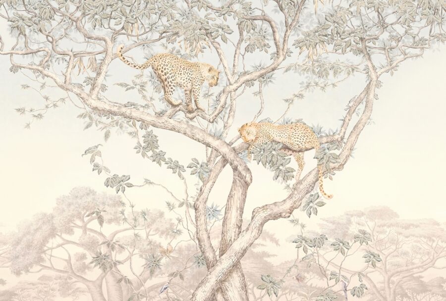 Fototapeta w ciepłej tonacji i stylu minimalistycznym Gepardy Na Drzewie - zdjęcie numer 5