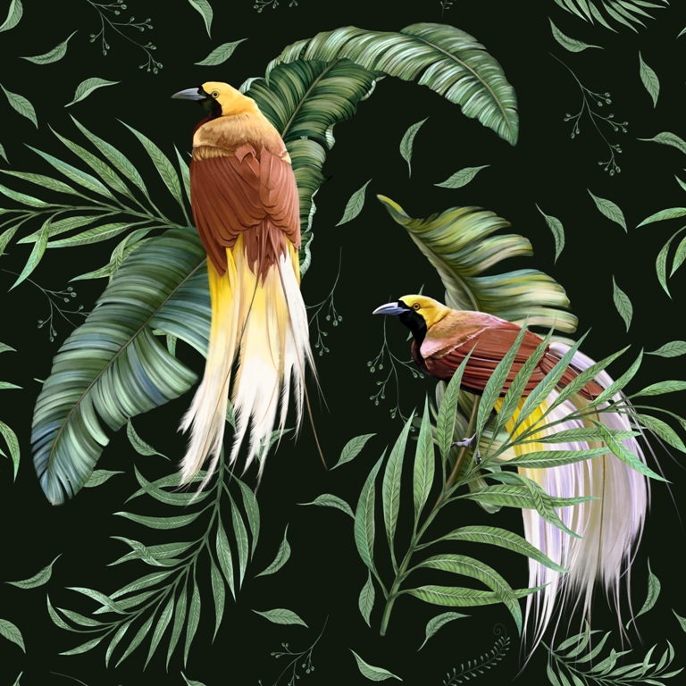 Nástěnná malba na tmavém pozadí s tropickým motivem Pár exotických ptáků - obrázek číslo 2