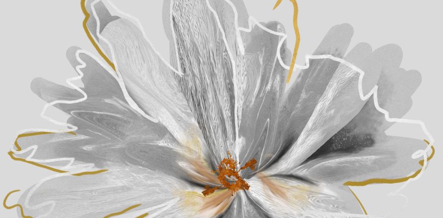 Nástěnná malba v moderním stylu a měkkých tónech plných elegance Grey Flower - číslo obrázku 2