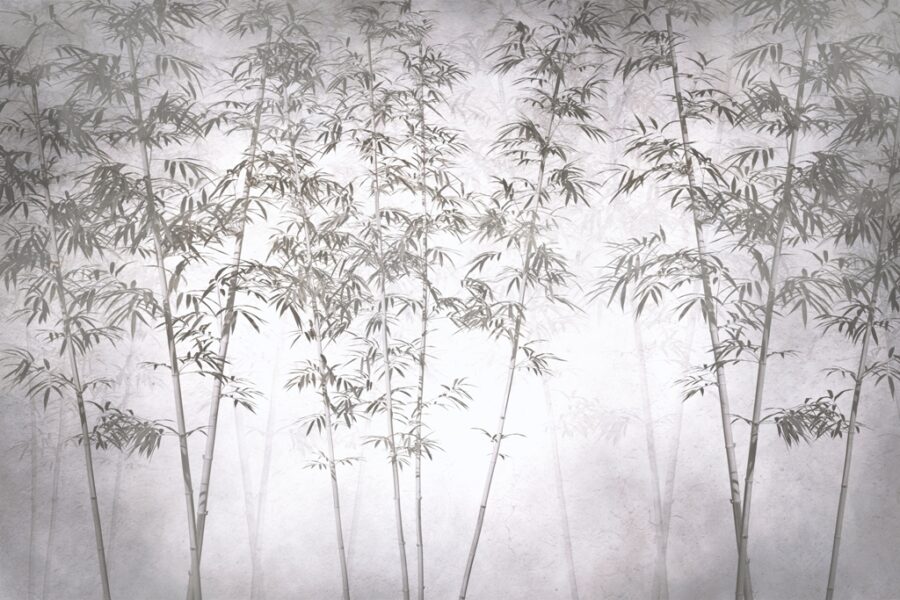 Fototapeta v univerzální šedé barvě Slender Forest - obrázek číslo 2