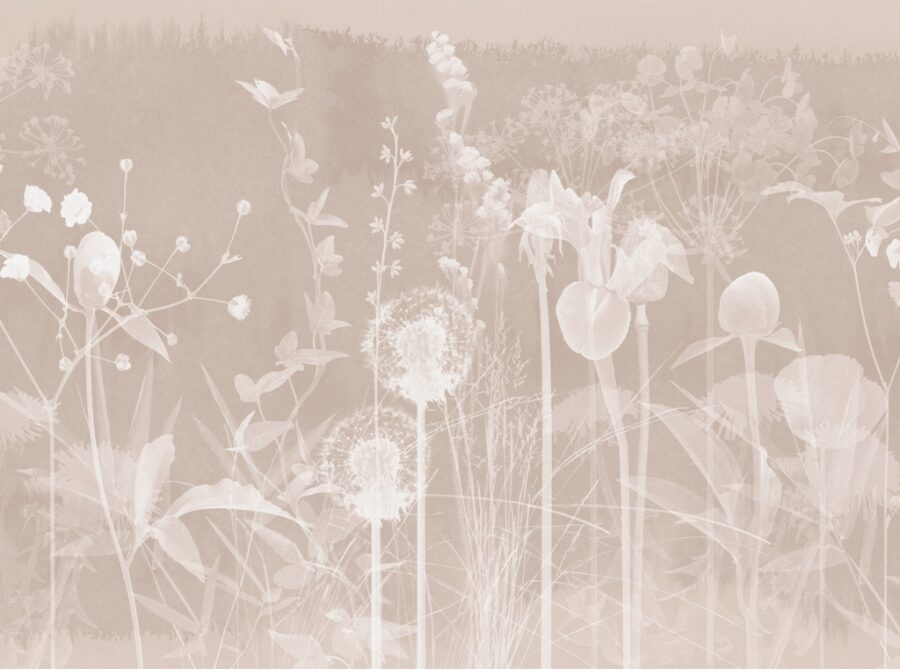 Fototapeta  w ciepłym brudnym różu i bieli imitująca negatyw czyli rośliny łąkowe w ciekawym wydaniu Łąka w Negatywie - zdjęcie numer 2