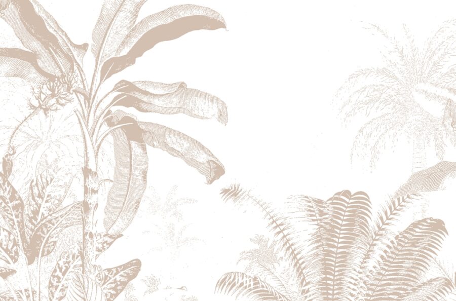 Fototapeta z uniwersalnym motywem tropikalnym w jasnej stylistyce Palma Na Białym Tle - zdjęcie numer 2