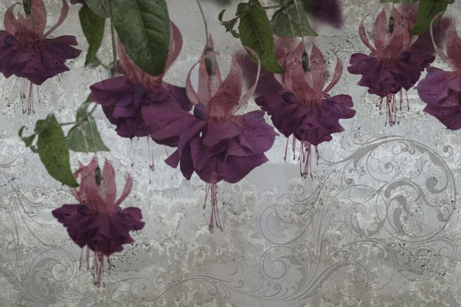 Fototapeta w postaci wielkich kielichowatych kwiatów w modnym fiolecie i niejednolitej szarości Fioletowe Kwiaty - zdjęcie numer 2