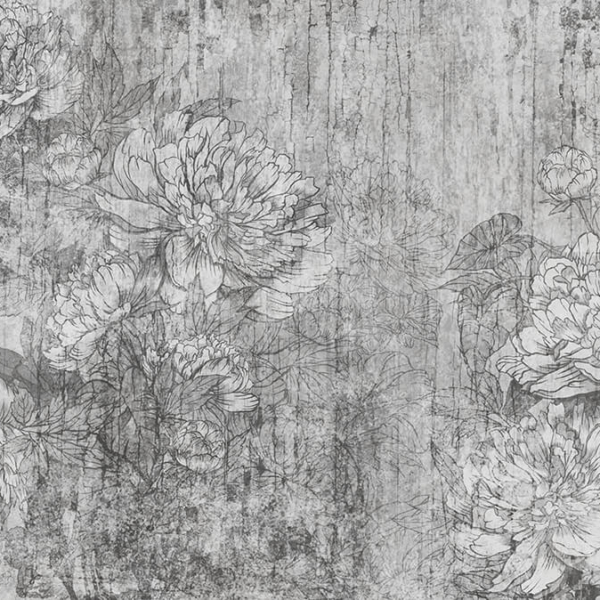 Tapety Květiny na betonovém pozadí