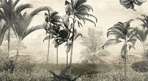 Fototapeta – Panorama džungle