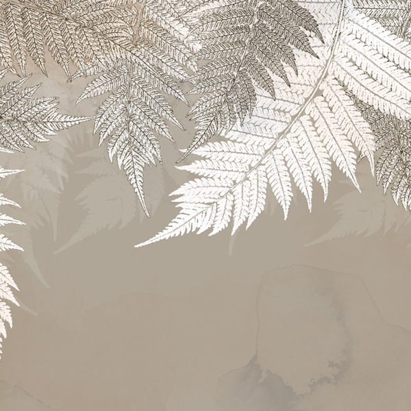 Nástěnná malba vzdušných listů kapradiny