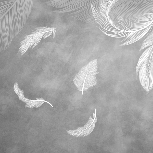 Fototapeta Jemné peří