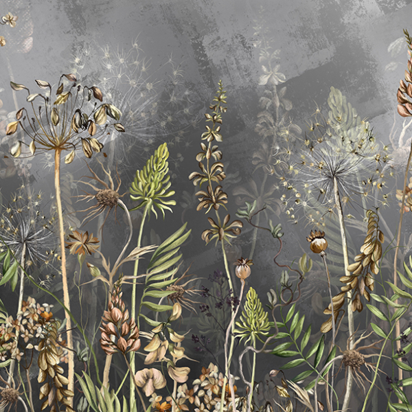 Podzimní louka tapety