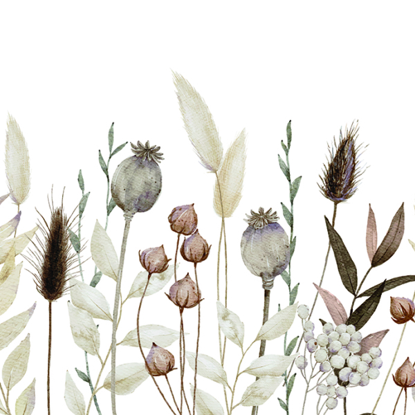 Bylinky v květu tapety