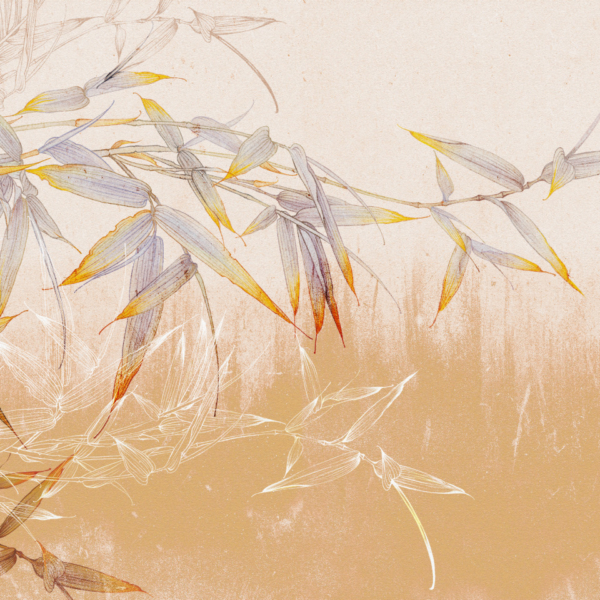 Nástěnné bambusové listy na meruňkové stěně