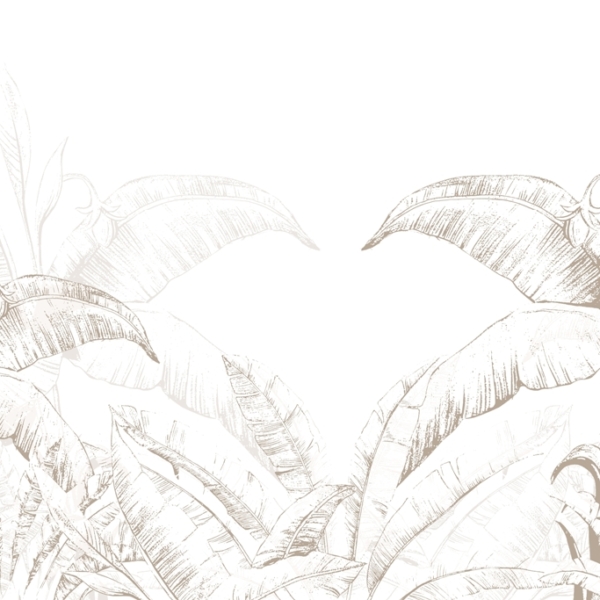 Nástěnná malba banánovníku v bílé barvě