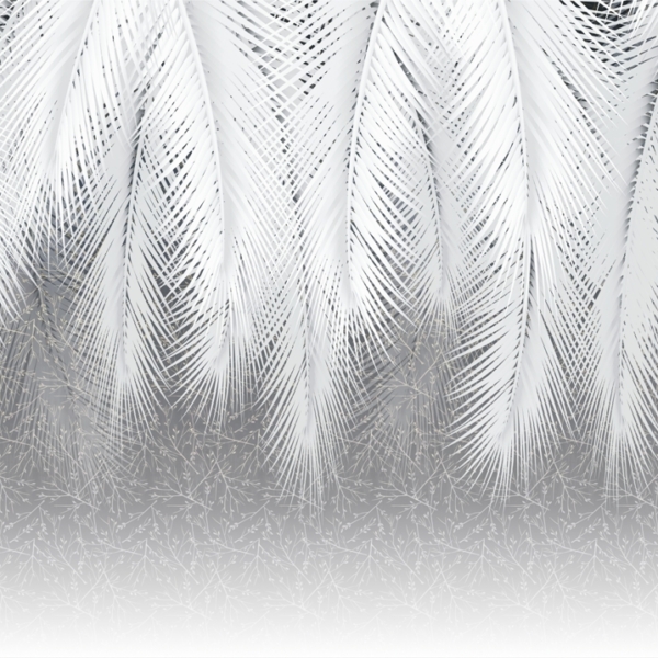 Nástěnná malba White Feathers