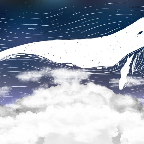 Nástěnná malba Bílý kytovec