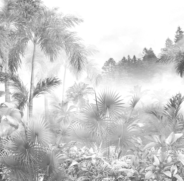 Nástěnná malba White in the Jungle