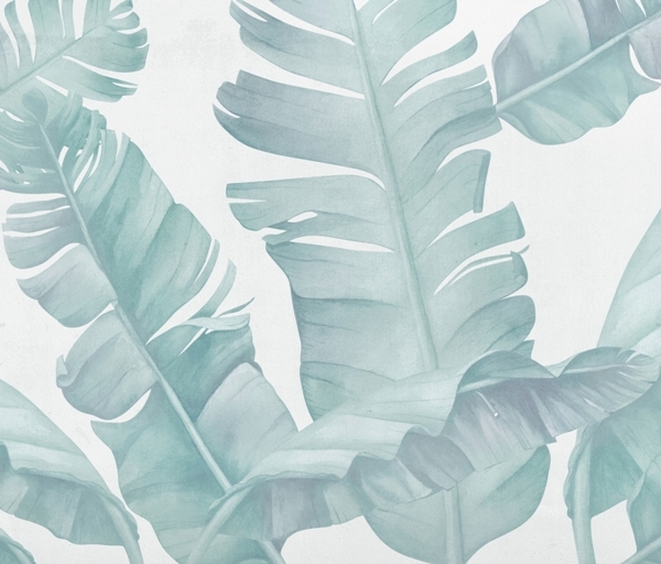 Nástěnná malba Modré peří