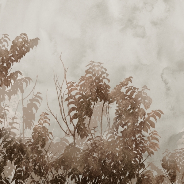 Nástěnná malba Hnědé rostliny v mlze