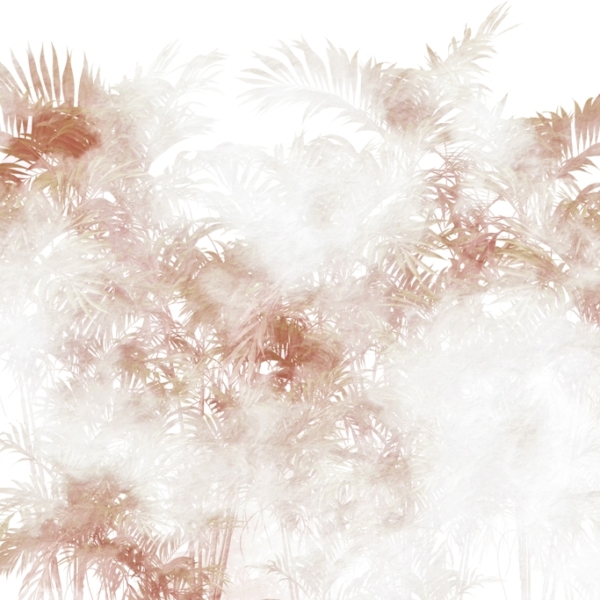 Nástěnná malba Hnědé palmy v mlze