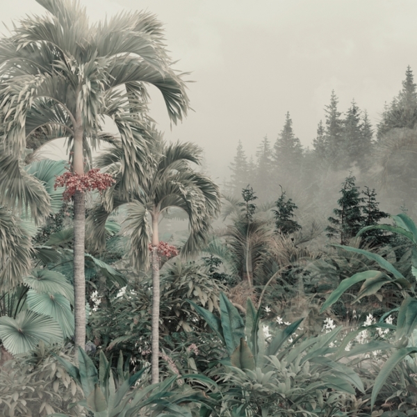 Nástěnná malba Bujná vegetace v mlze