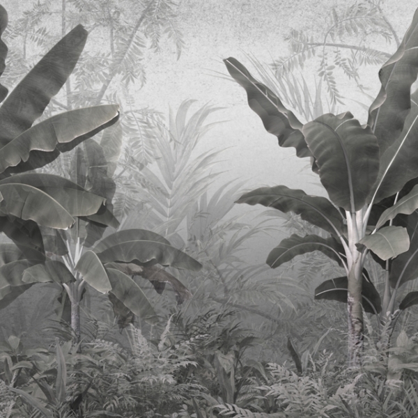 Fototapeta Dark Jungle